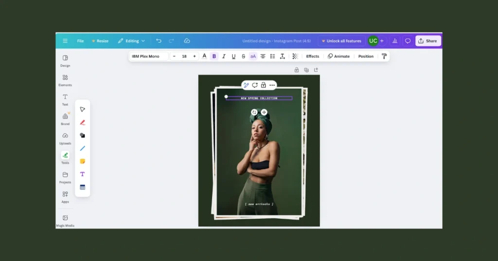 Customize All the Text for canva